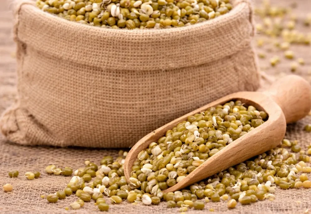sprouted mung beans
